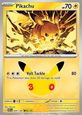 Pikachu #024