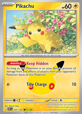 Pikachu #033